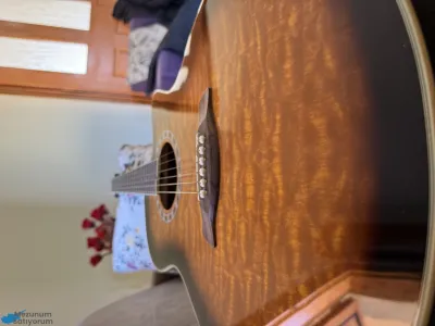 Jay Turser Jta-424qcet Gitar