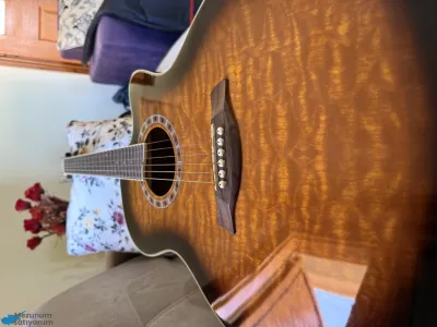 Jay Turser Jta-424qcet Gitar