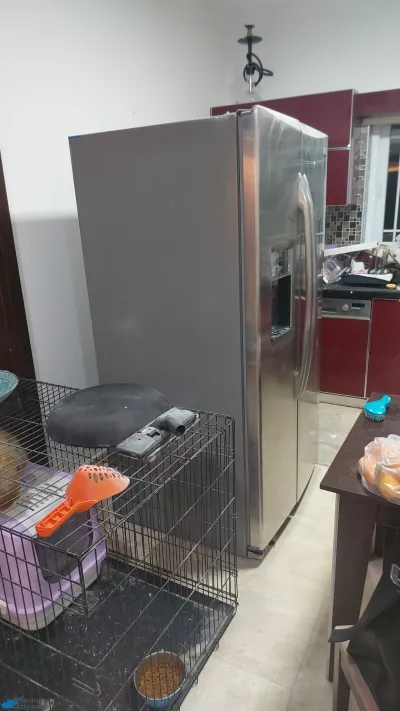 Çift Kapılı Buzluk