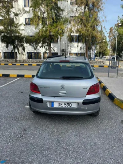 Pejo 307