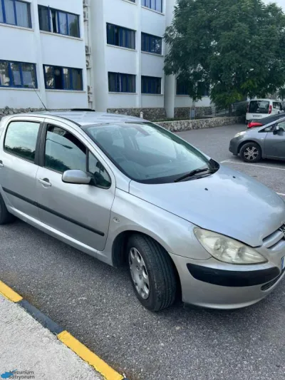 Pejo 307