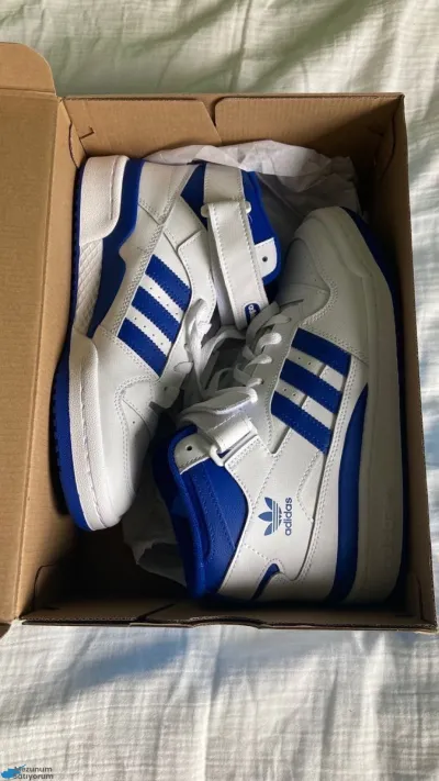 Adidas Forum Mid Blue
