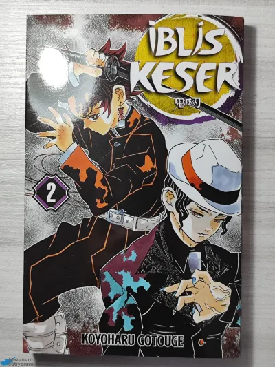 Demon Slayer Manga
