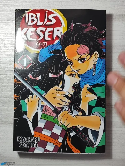 Demon Slayer Manga